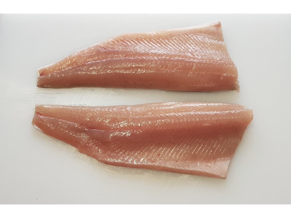 Filete Simple Con Espinas (PBI)