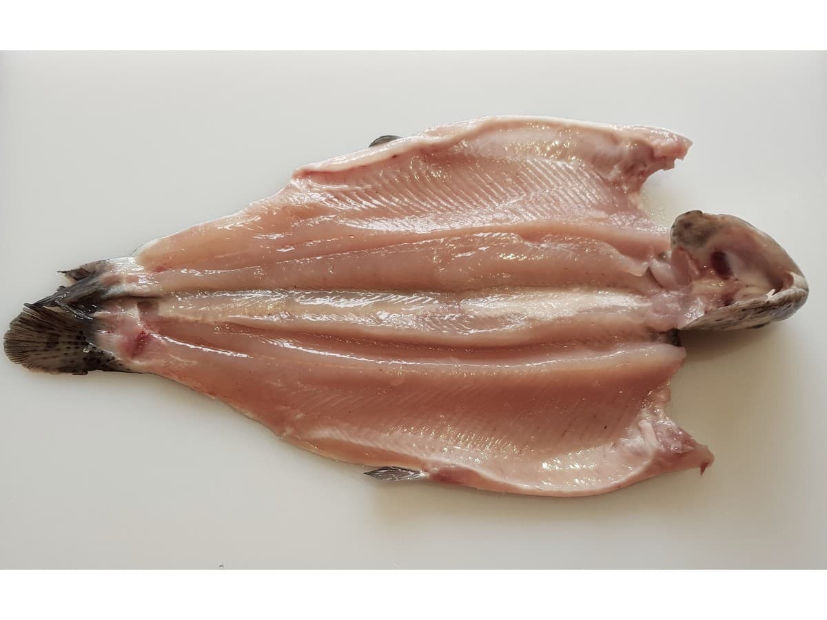 Filete Deshuesado Sin Espinas (PBO)