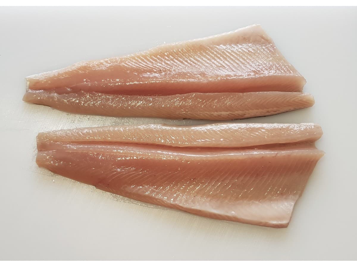 Filete Simple Sin Espinas (PBO)